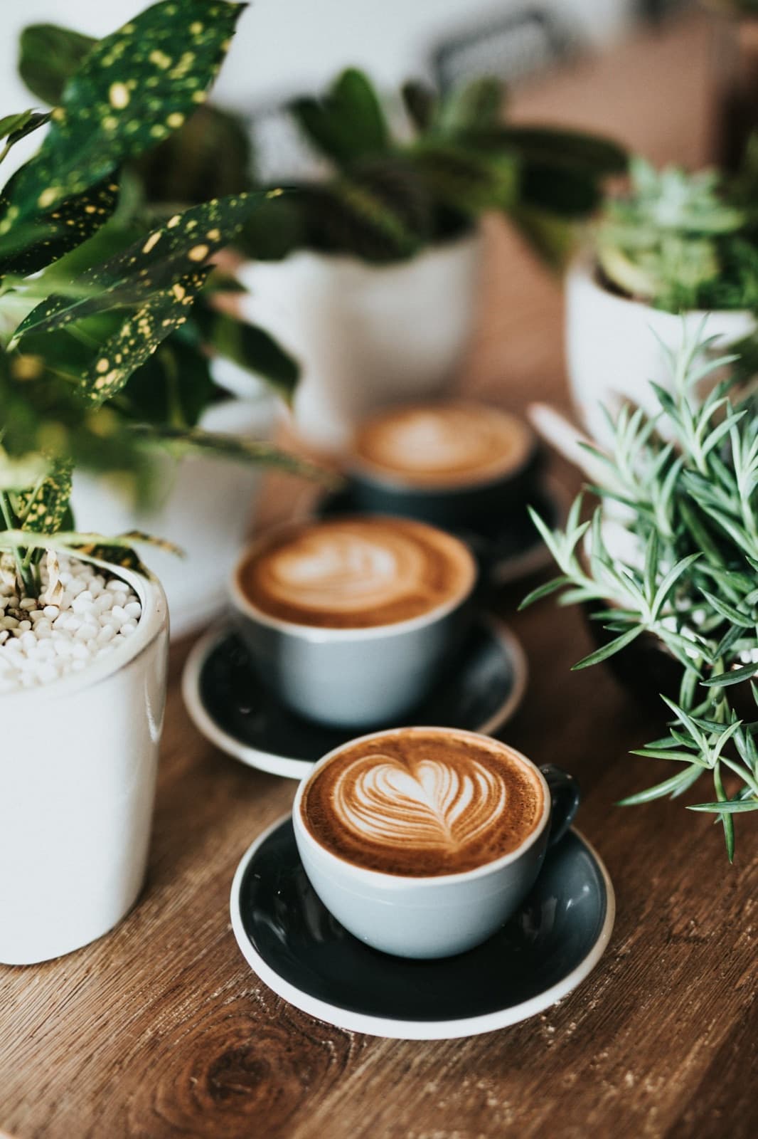 Freshly made cappuccinos with latte art, served in the lounge
